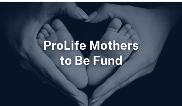 ProLife Mothers to Be Fund