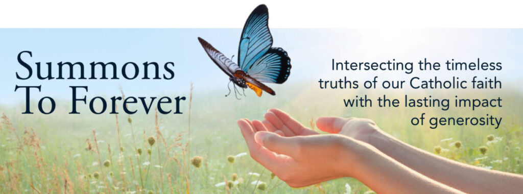 As I Have Loved You | Catholic Foundation Reflections